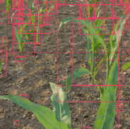 Synthetic Image Annotation