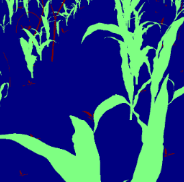Synthetic Image Annotation