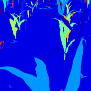 Synthetic Image Annotation