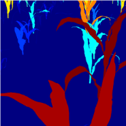 Synthetic Image Annotation