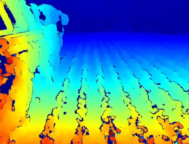 Synthetic Maize Plants