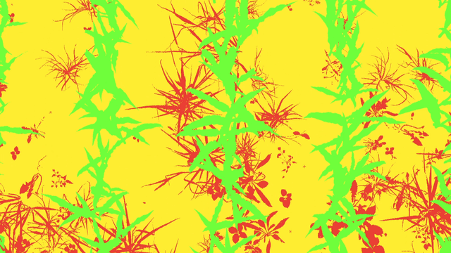 Synthetic Maize Plants